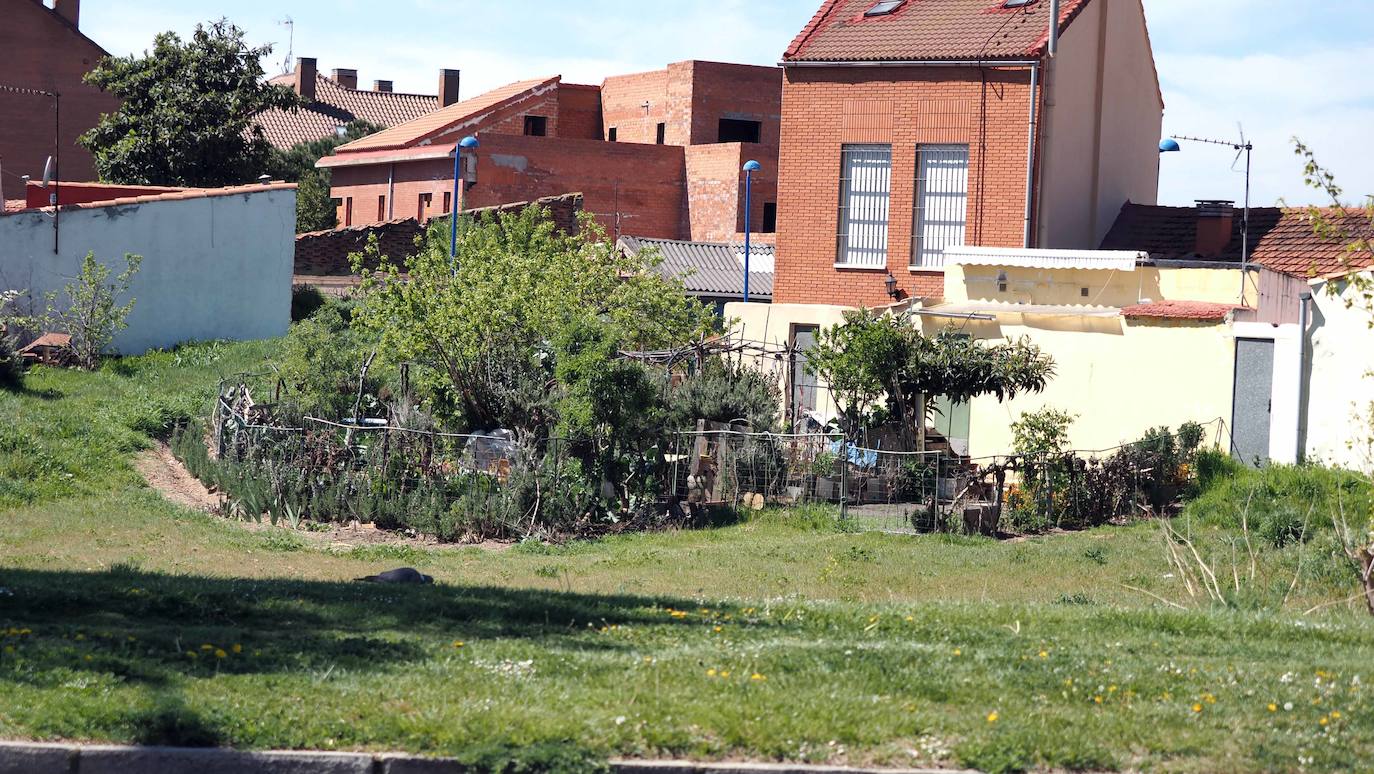 Fotos: La otra mirada a Valladolid: barrio España