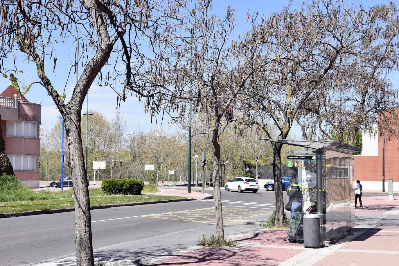 Fotos: La otra mirada a Valladolid: barrio España