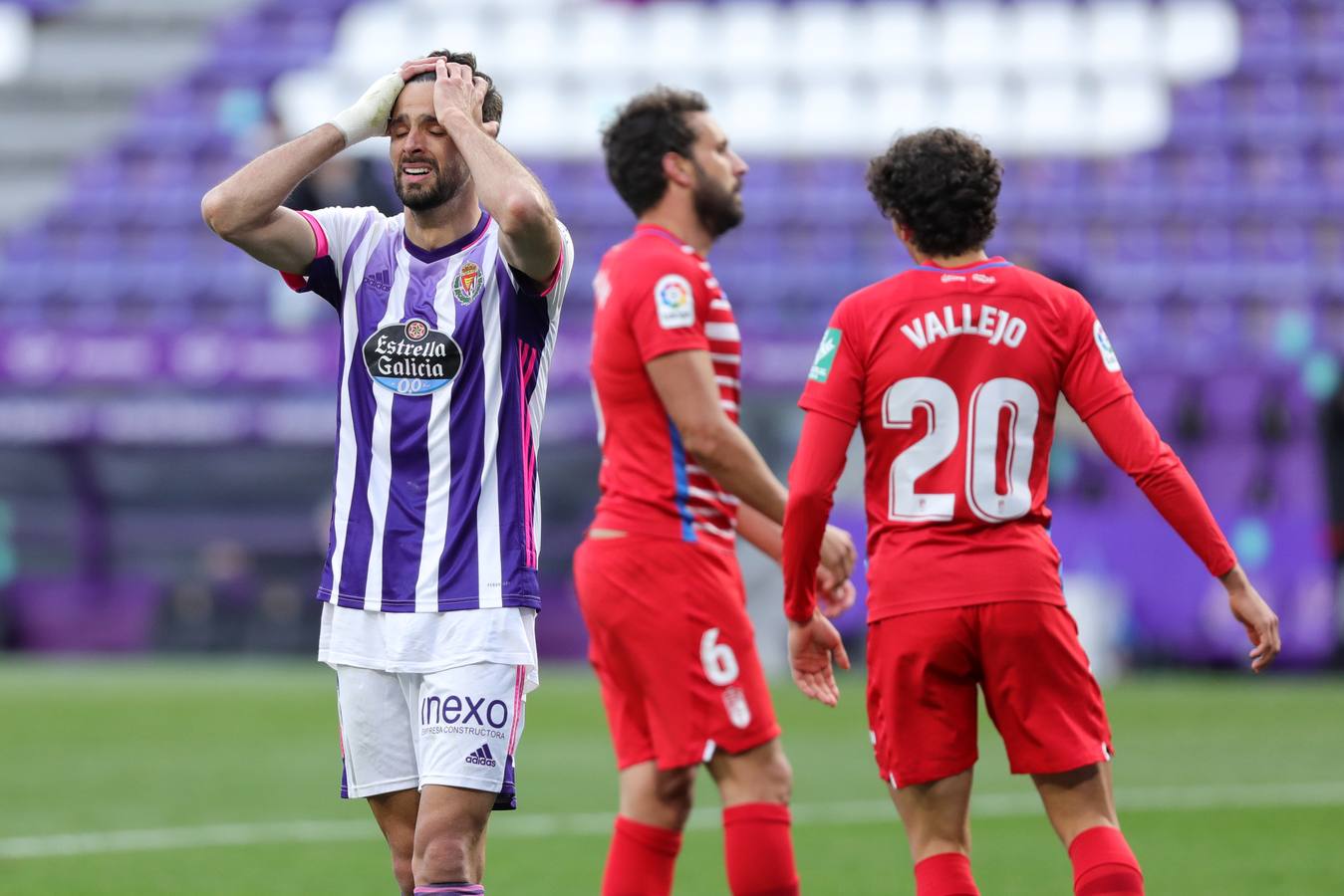 Encuentro Real Valladolid-Granada