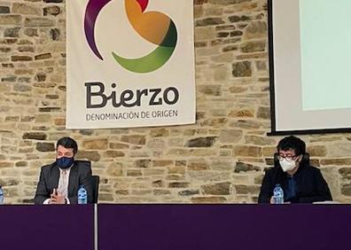 Imagen secundaria 1 - Arriba, viñedos de Corullón. Abajo, imágenes de la presentación de la nueva asociación hoy en la sede de la DO Bierzo. 