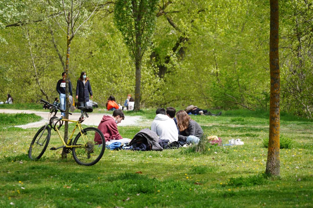 Lunes de Aguas en Salamanca 