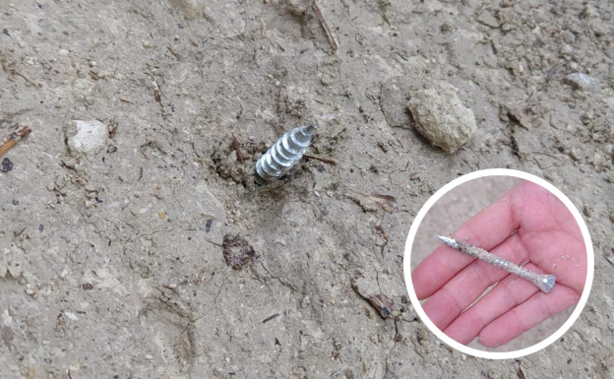 Tornillo en medio de uno de los senderos entre Geria y Robladillo, en la provincia de Valladolid. 