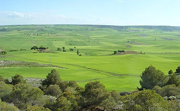 Páramos calcáreos y verde llanuras caracterizan el paisaje de El Cerrato pelentino. 