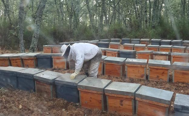 Pedro Jorge abre las piqueras tras descargar en La Alberca