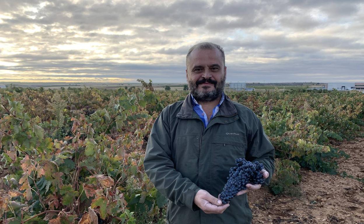 Felipe Nalda, presidente de la Denominación de Origen Toro. 