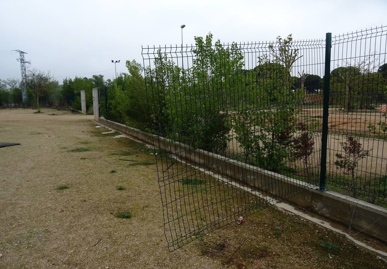 Fotos: Destrozos en las instalaciones de Pingüinos en la antigua Hípica Militar de Valladolid