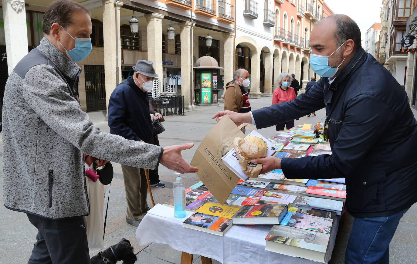 Colas para disfrutar de la lectura y de los libros este 23 de abril en Palencia