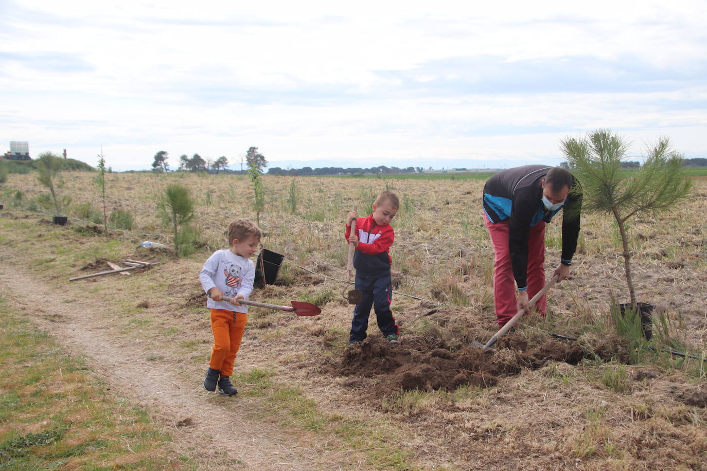 Plantación de árboles este sábado junto a la ermita de San Mamés.