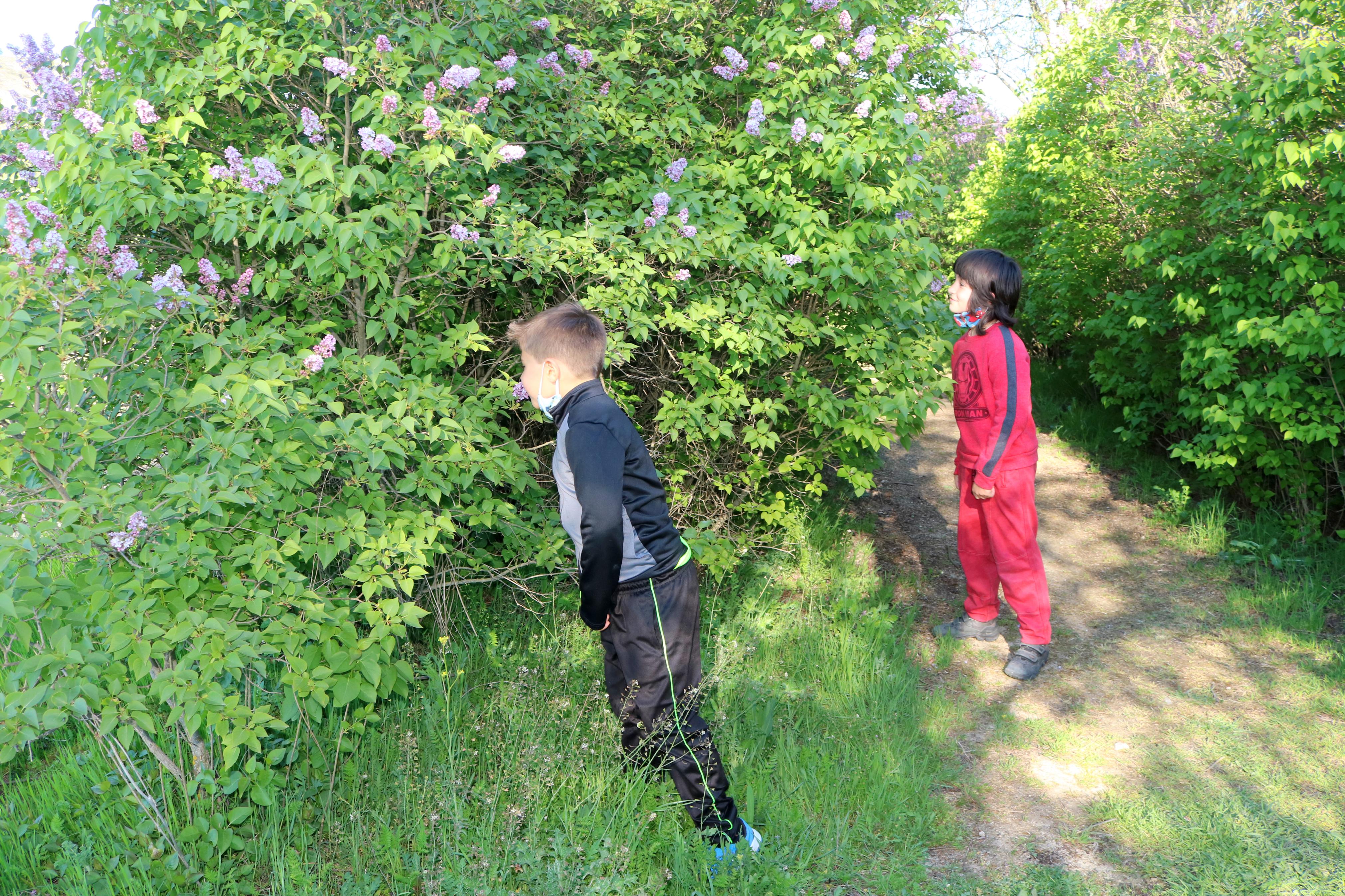 El Paseo de las Lilas es un atractivo para niños y mayores