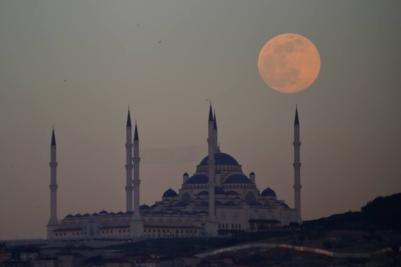 Fotos: La superluna rosa deslumbra al mundo