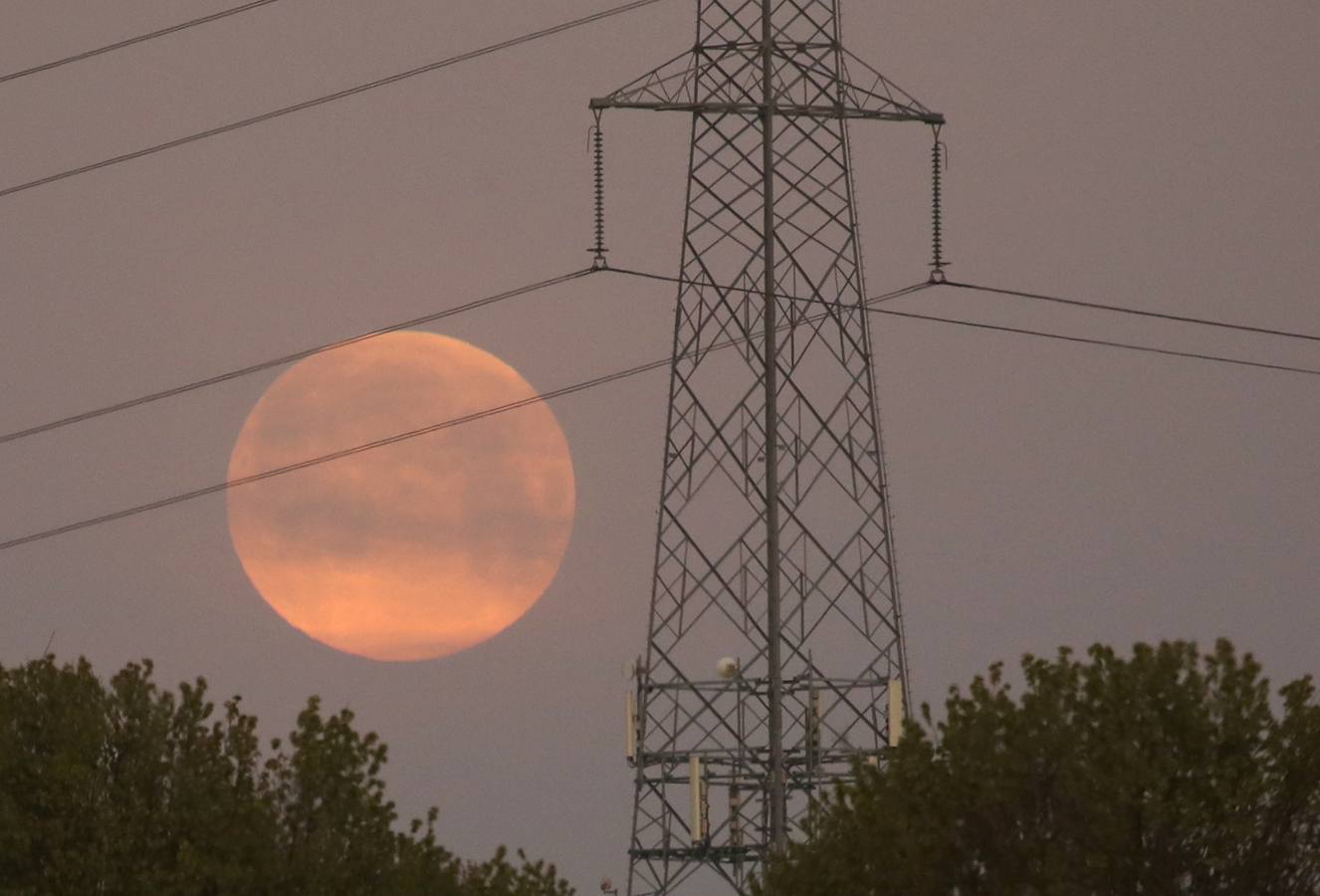 Fotos: La superluna rosa deslumbra al mundo