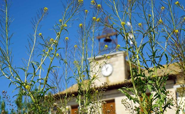 ¿Reconoces en qué pueblo de Valladolid estamos?