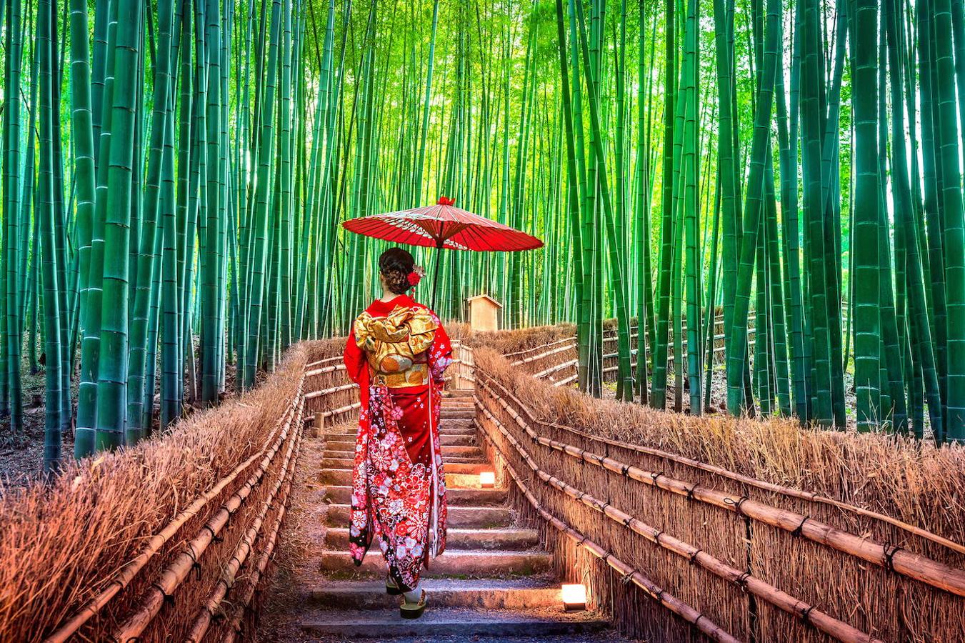 Bosque bambú Sagano Arashiyama (Japón): Este bosque de bambú en el que el silencio solo se rompe con el sonido de los bambús mecidos por el viento, se encuentra muy cerca del río Hozu y en la parte oeste de la ciudad de Kioto. Un lugar en plena naturaleza que ha llegado a convertirse en una de las atracciones turísticas más visitadas de esta zona de Japón y en cuyo interior se puede encontrar un auténtico santuario vegetal, que podrás visitar a través de un camino iluminado que se abre paso entre los imponentes bambús y que se encarga de guiar al viajero por un paisaje mágico.