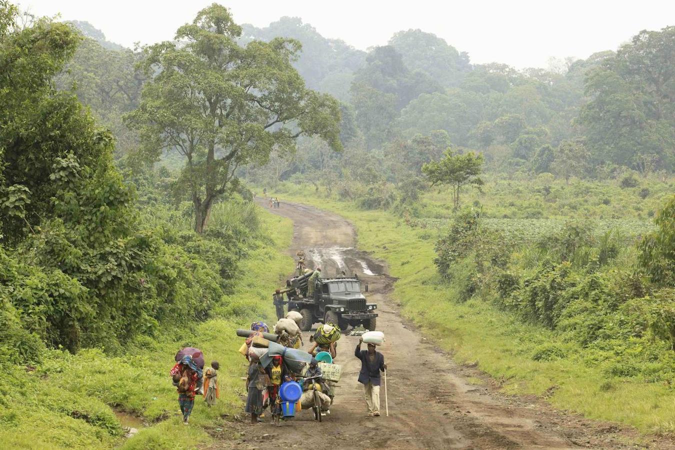 Selva del Congo (África Central): Este bosque húmedo tropical se extiende por las llanuras de la cuenca del río Congo y sus afluentes en el África Central, concretamente por las regiones de Camerún, Guinea Ecuatorial, Gabón, República Centroafricana, República Democrática del Congo y la República del Congo. Otra de las selvas tropicales más espectaculares del mundo por sus dimensiones, pero sobre todo por las especies que viven en ella. Desde chimpancés a hipopótamos, pasando por elefantes o gorilas, son algunas de las muchas especies que podrás encontrar en este lugar.