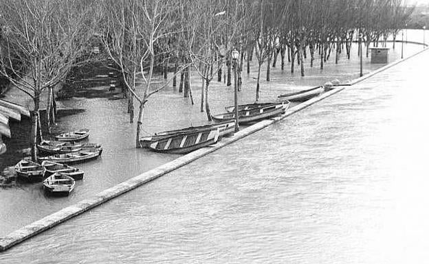 Otra imagen de las Moreras anegadas.