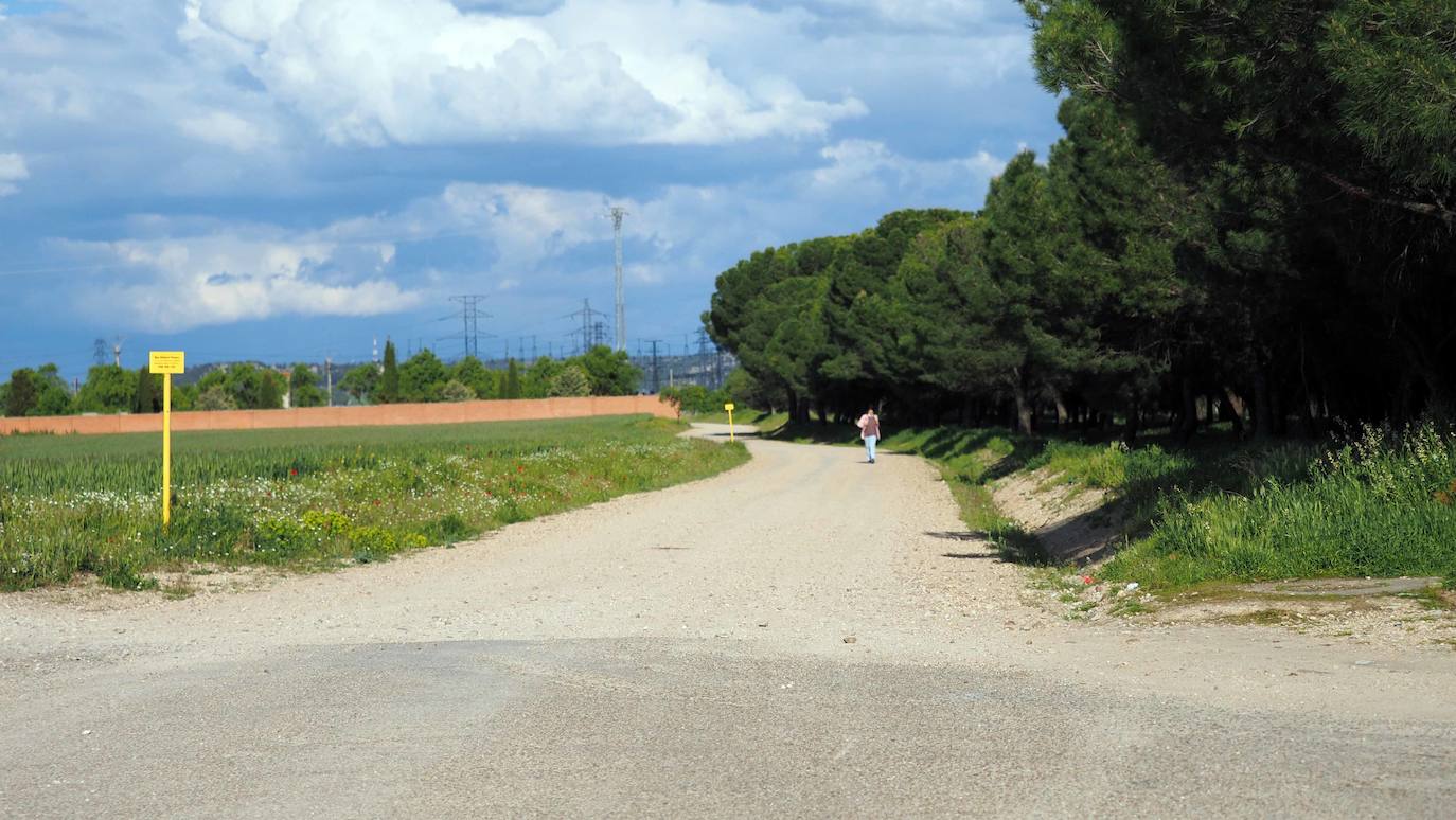 UEste distrito de Valladolid nació hace más o menos cincuenta años 