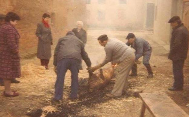 Antiguamente la matanza del cerdo cuando era tradicional hacerla en la calle.