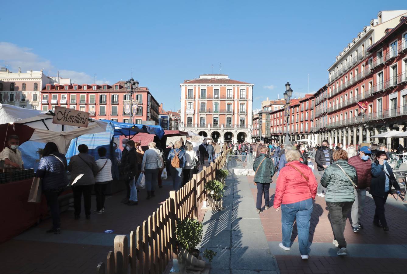 Fotos: El Mercado Castellano abre sus puertas en la Plaza Mayor de Valladolid