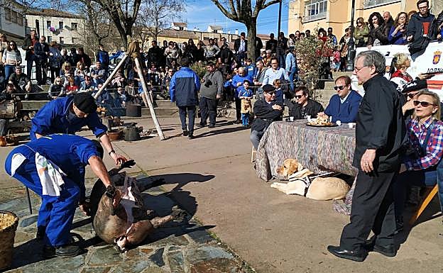 El despiece del cerdo es uno de los rituales que se muestran durante las Jornadas de la Matanza Típica.