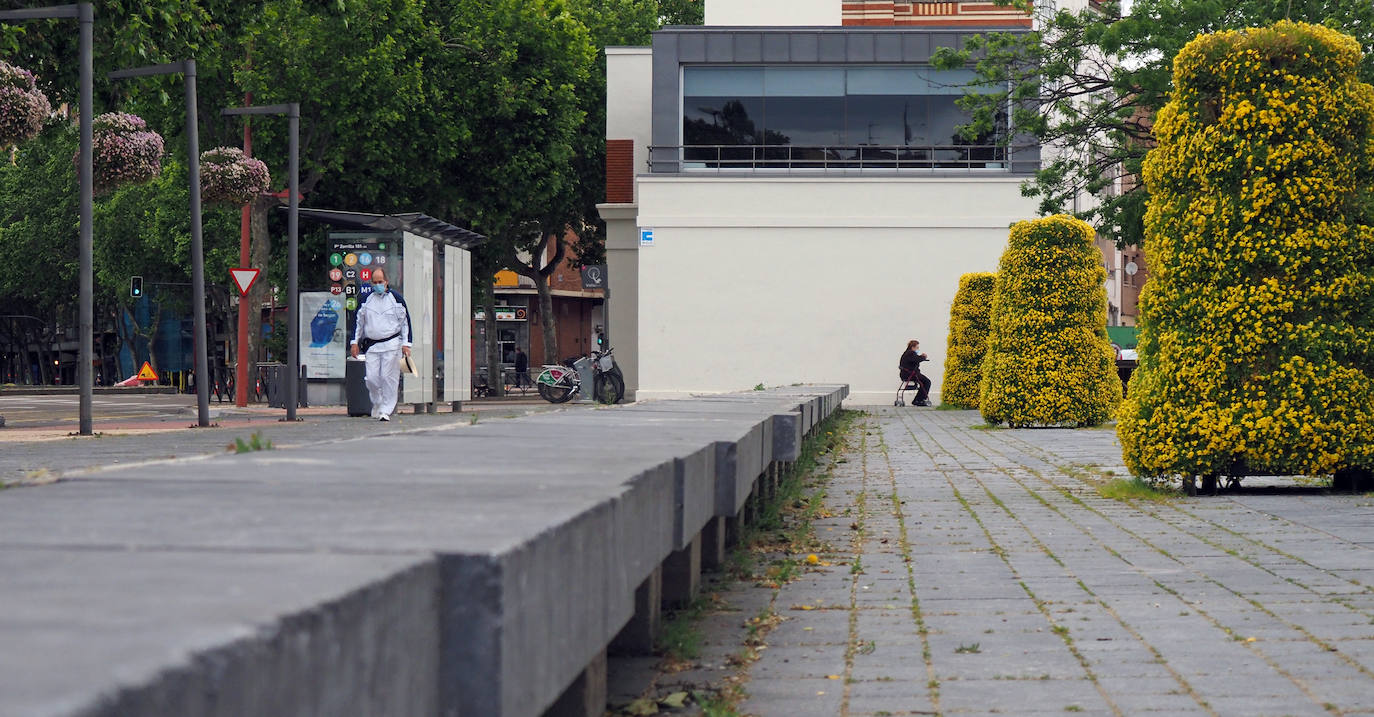 Fotos: Obras del carril bici del Paseo de Zorrilla hasta la Rubia