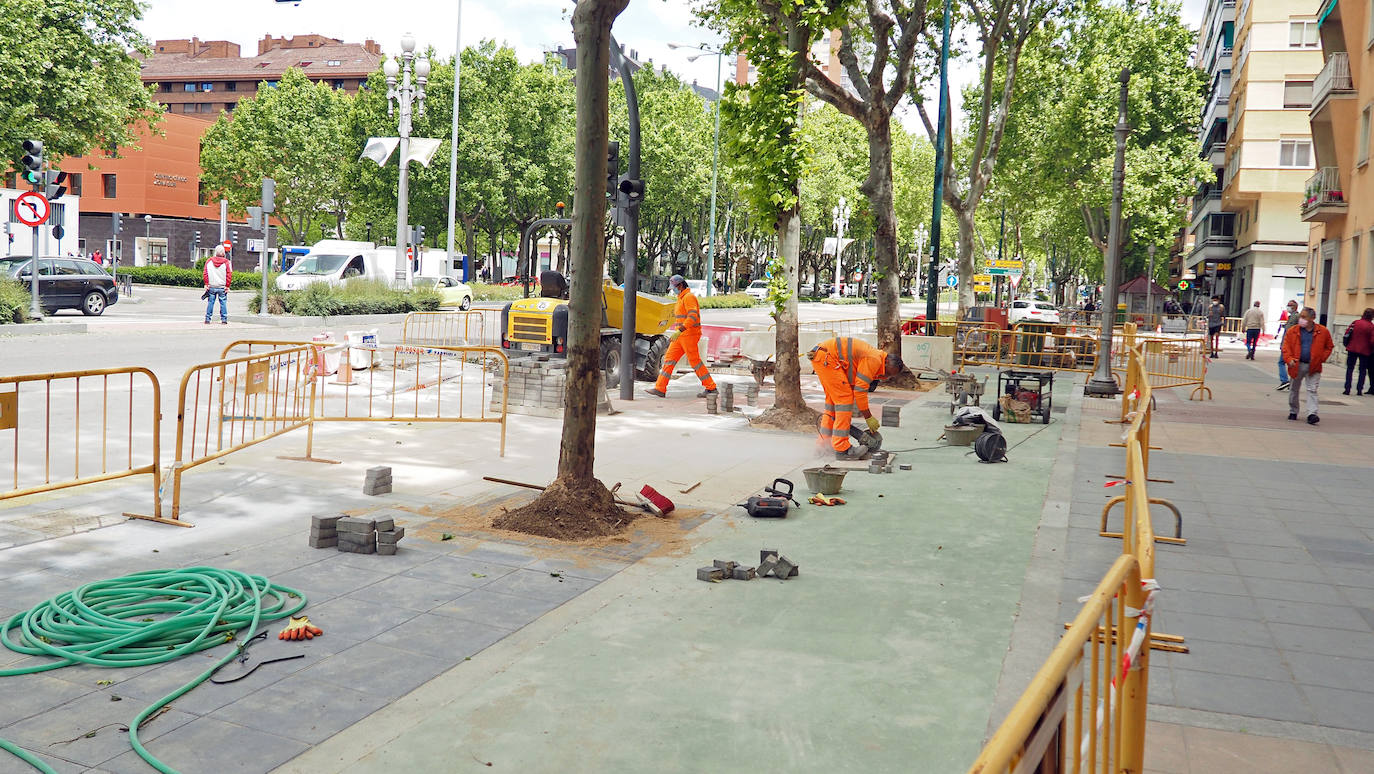 Fotos: Obras del carril bici del Paseo de Zorrilla hasta la Rubia