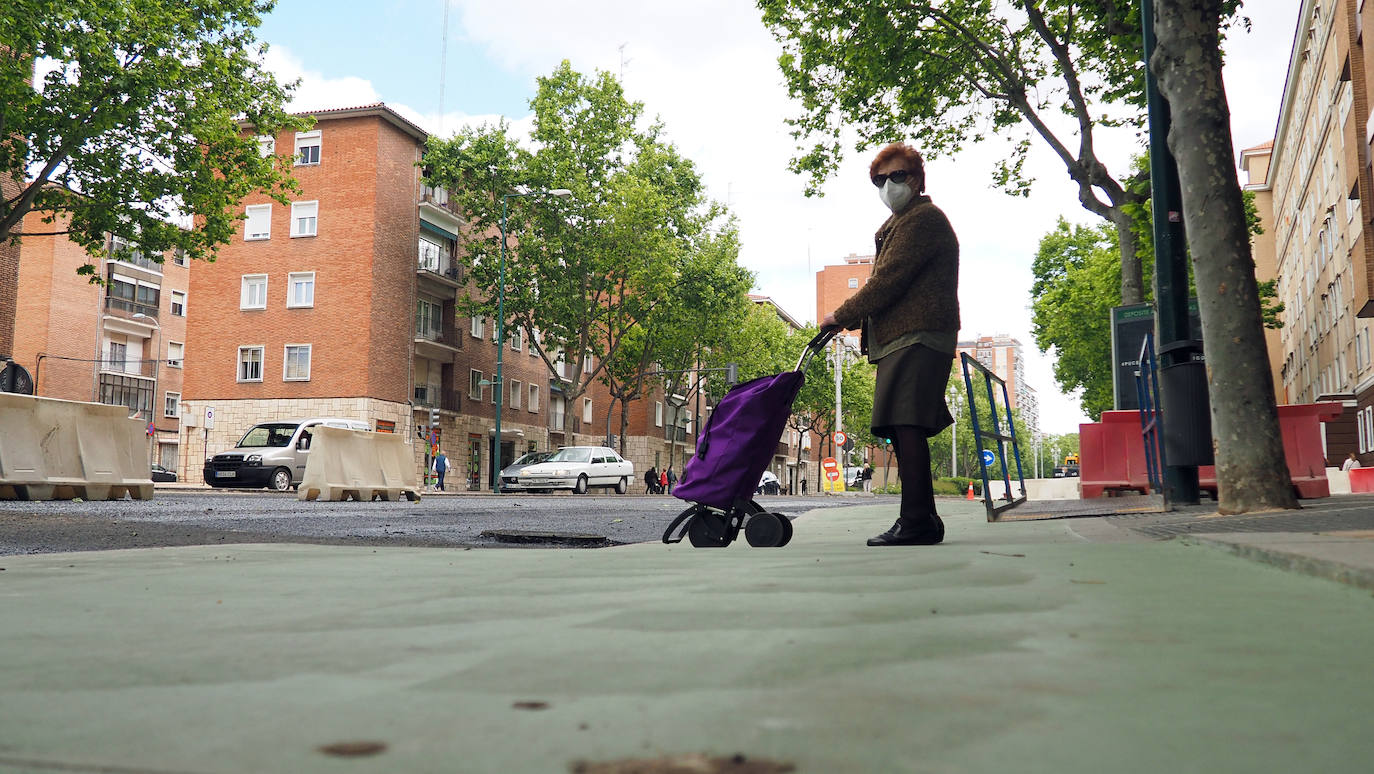 Fotos: Obras del carril bici del Paseo de Zorrilla hasta la Rubia