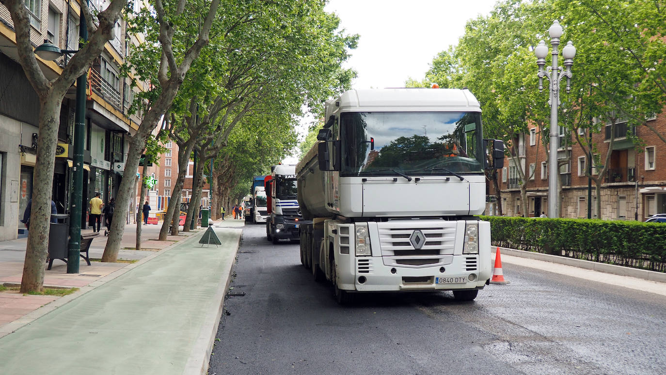 Fotos: Obras del carril bici del Paseo de Zorrilla hasta la Rubia