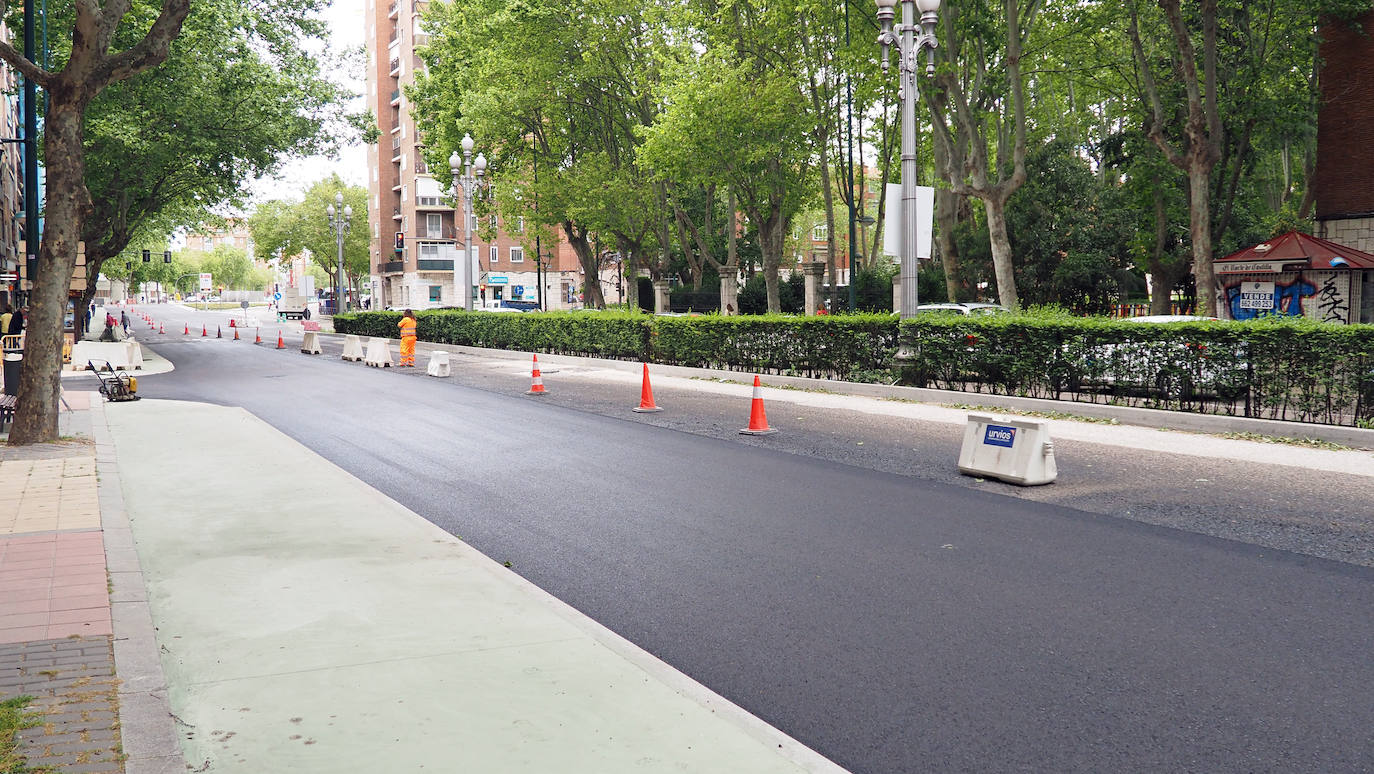 Fotos: Obras del carril bici del Paseo de Zorrilla hasta la Rubia