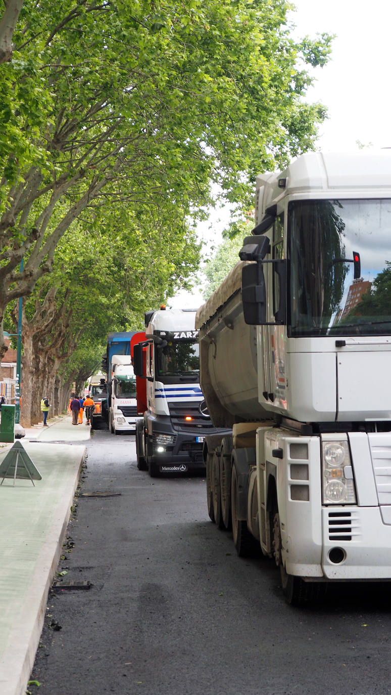 Fotos: Obras del carril bici del Paseo de Zorrilla hasta la Rubia