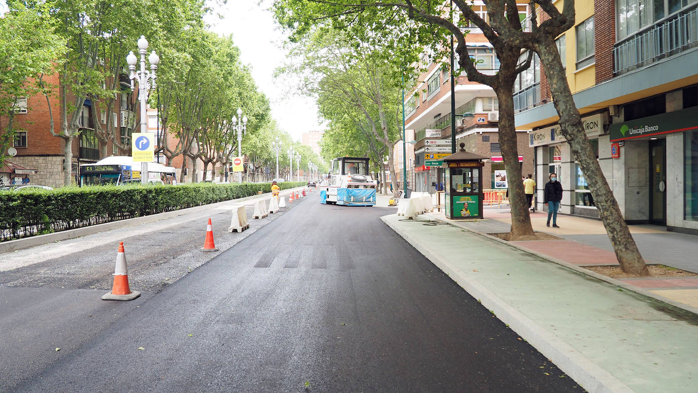 Fotos: Obras del carril bici del Paseo de Zorrilla hasta la Rubia