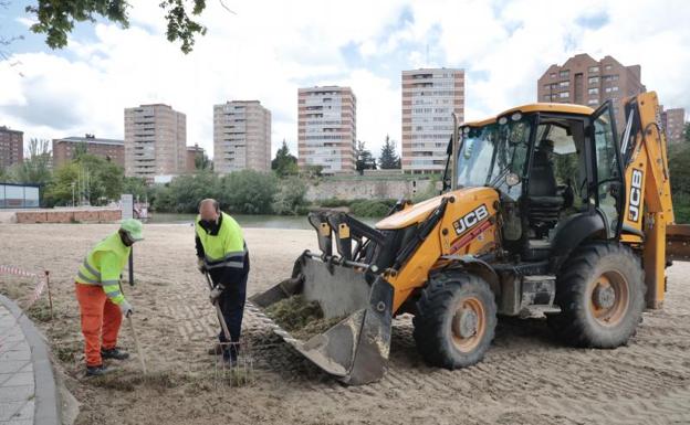 Los operarios trabajan en las labores de acondicionamiento de la playa de Las Moreras.