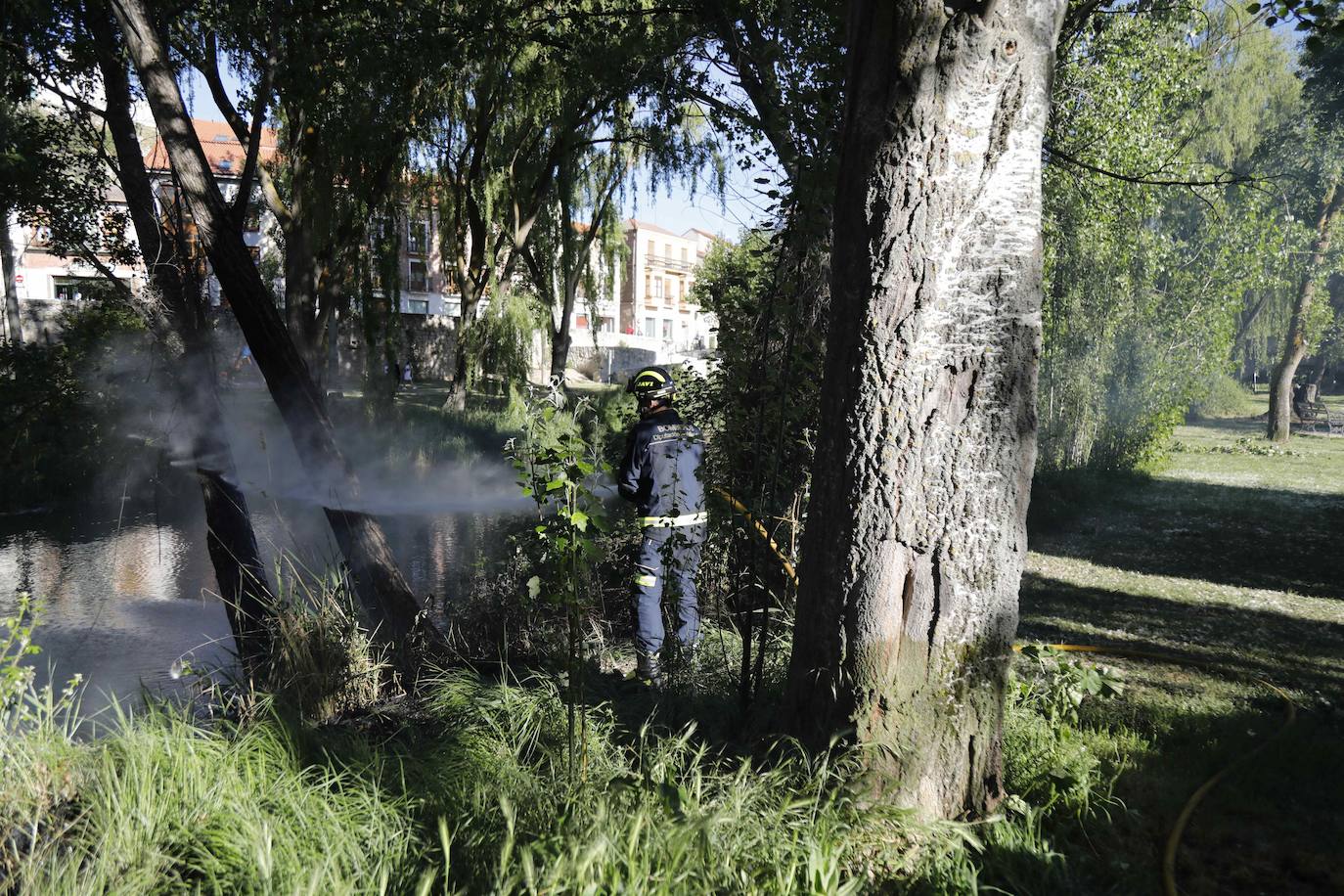 Fotos: Los Bomberos sofocan un incendio de pelusas en Peñafiel