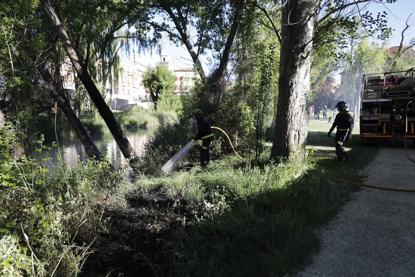 Fotos: Los Bomberos sofocan un incendio de pelusas en Peñafiel