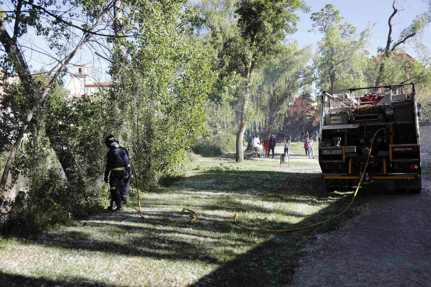 Fotos: Los Bomberos sofocan un incendio de pelusas en Peñafiel