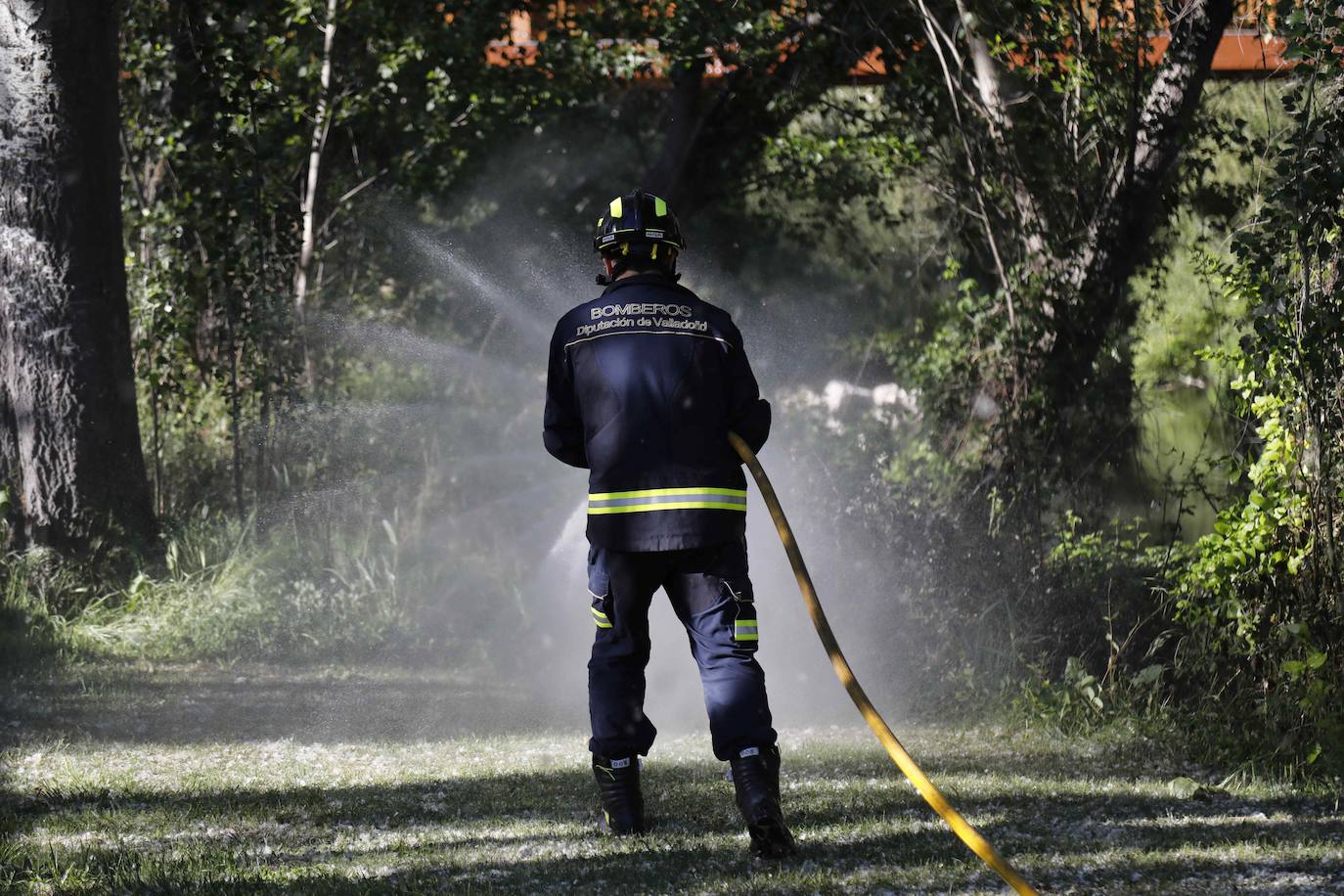 Fotos: Los Bomberos sofocan un incendio de pelusas en Peñafiel