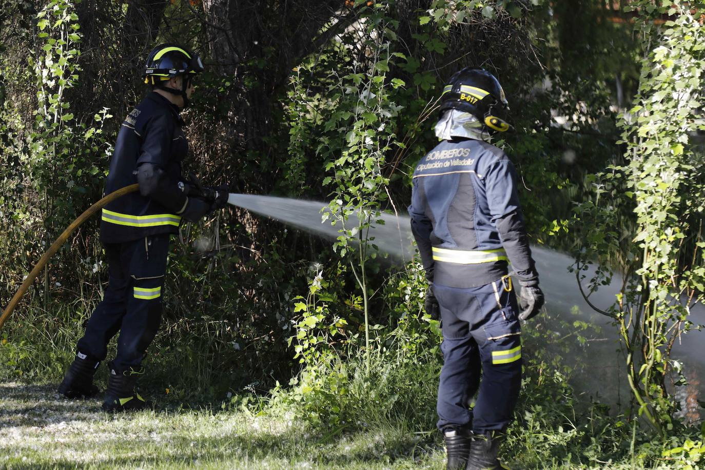 Fotos: Los Bomberos sofocan un incendio de pelusas en Peñafiel