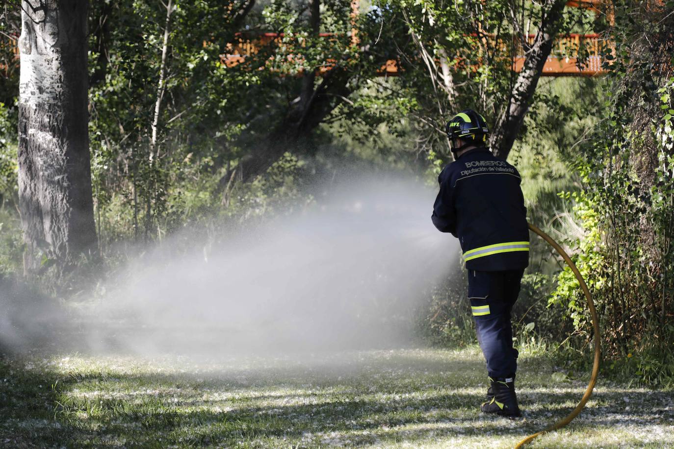 Fotos: Los Bomberos sofocan un incendio de pelusas en Peñafiel