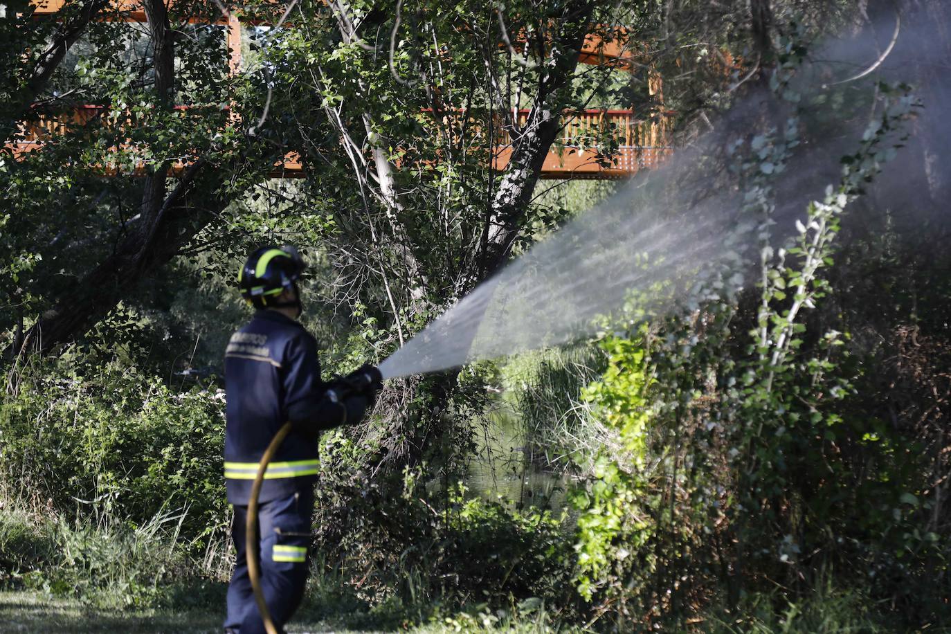 Fotos: Los Bomberos sofocan un incendio de pelusas en Peñafiel