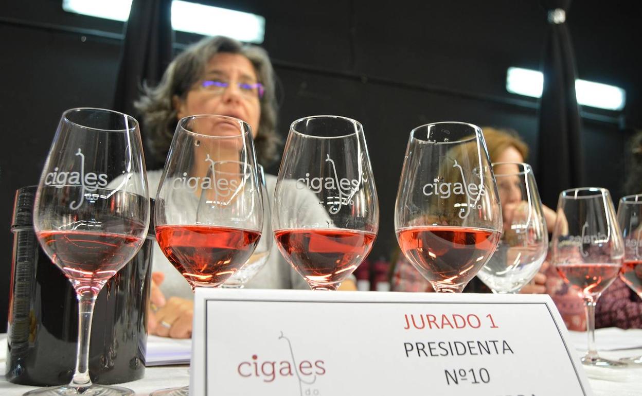 Cata de los Premios Calidad Cigales en una edición anterior. 