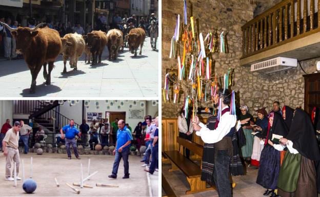 A la izquierda, desfile de ganado vacuno en la tercera Feria de Ramos de Cervera de Pisuerga y juego de los bolos. A la derecha, los mayordomos y mayordomas entran en la iglesia con el ramo de Navidad, adornado con rosquillas y cintas de colores.