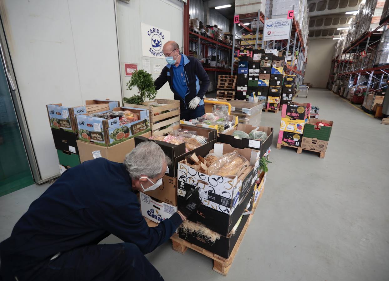 Fotos: El Banco de Alimentos de Valladolid lanza una campaña para llenar sus despensas