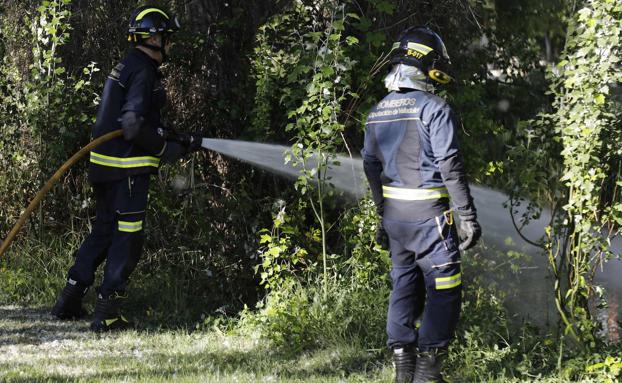 Los bomberos apagan la semana pasada un incendio de pelusas en Peñafiel.