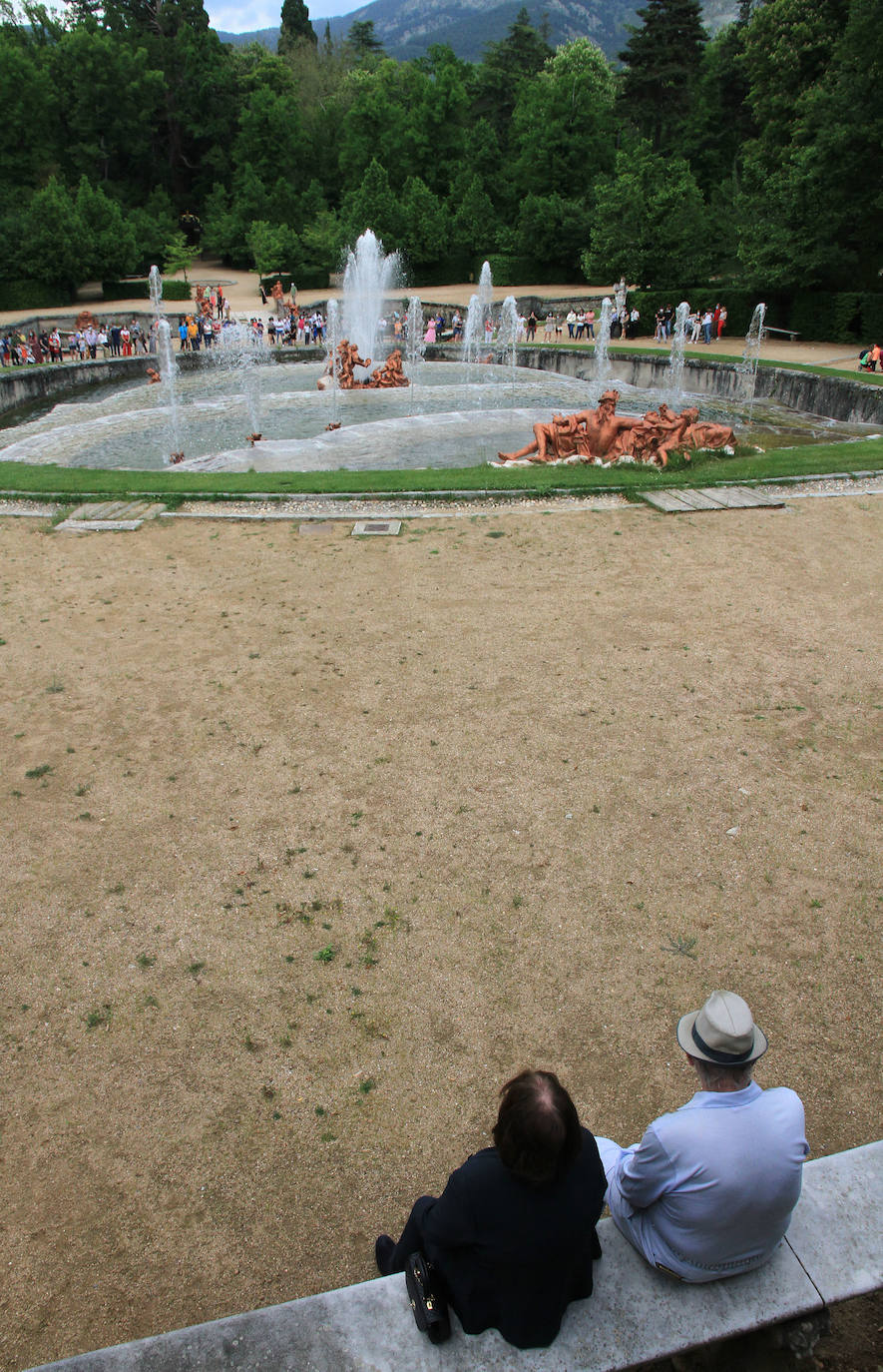 La fuente de las Ranas, en pleno apogeo de su coreografía acuática este domingo en La Granja. 
