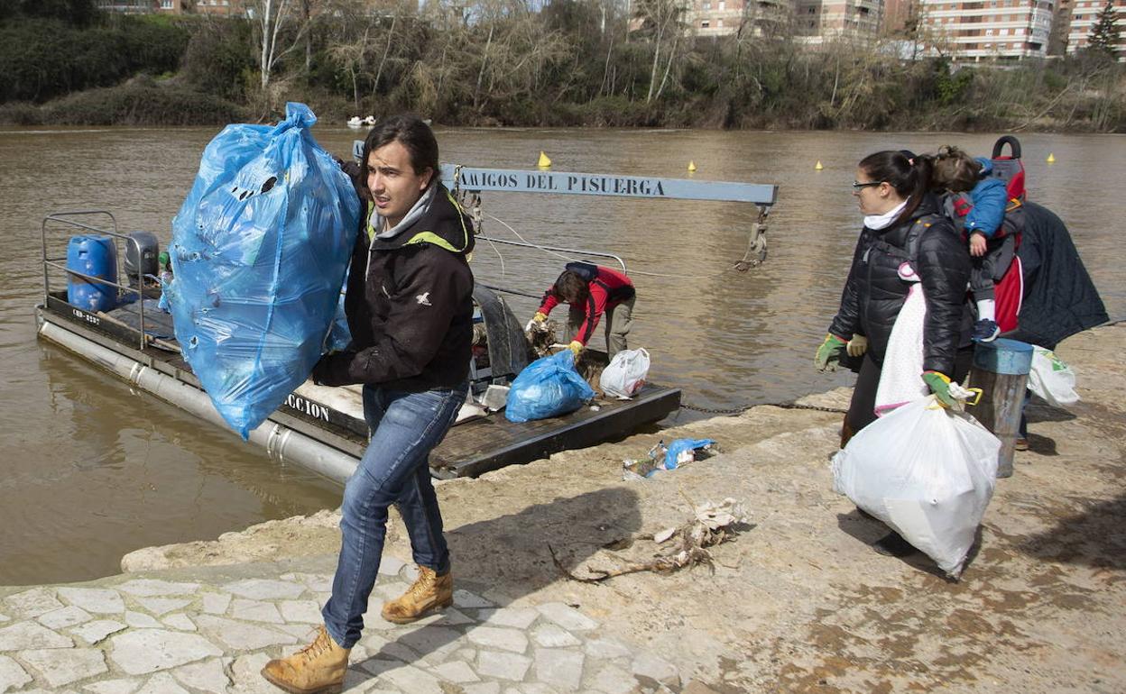 La Asociación Amigos del Pisuerga junto a voluntarios realiza una limpieza en los márgenes del rio Pisuerga.