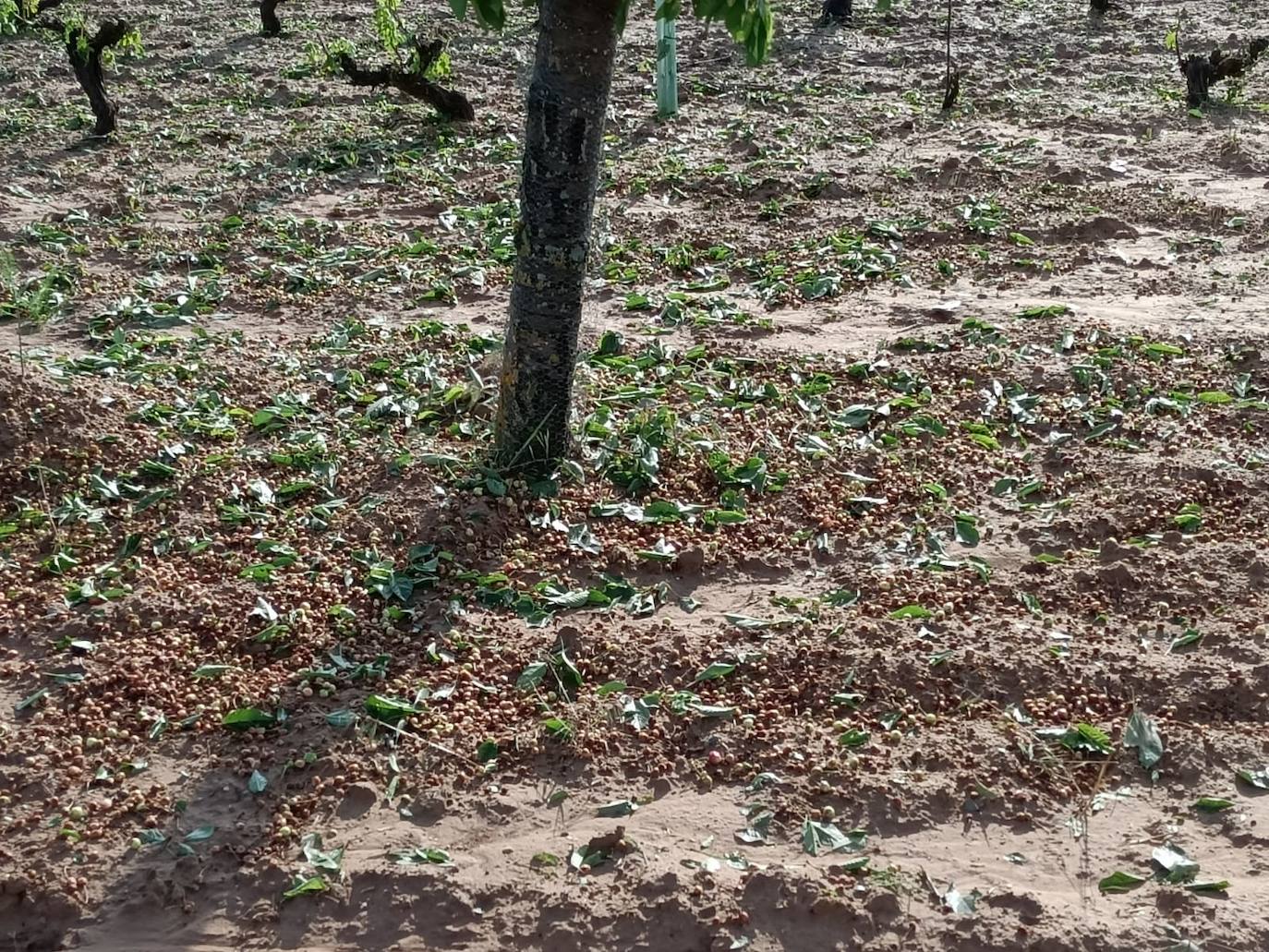 Granizo en Piñel de Abajo