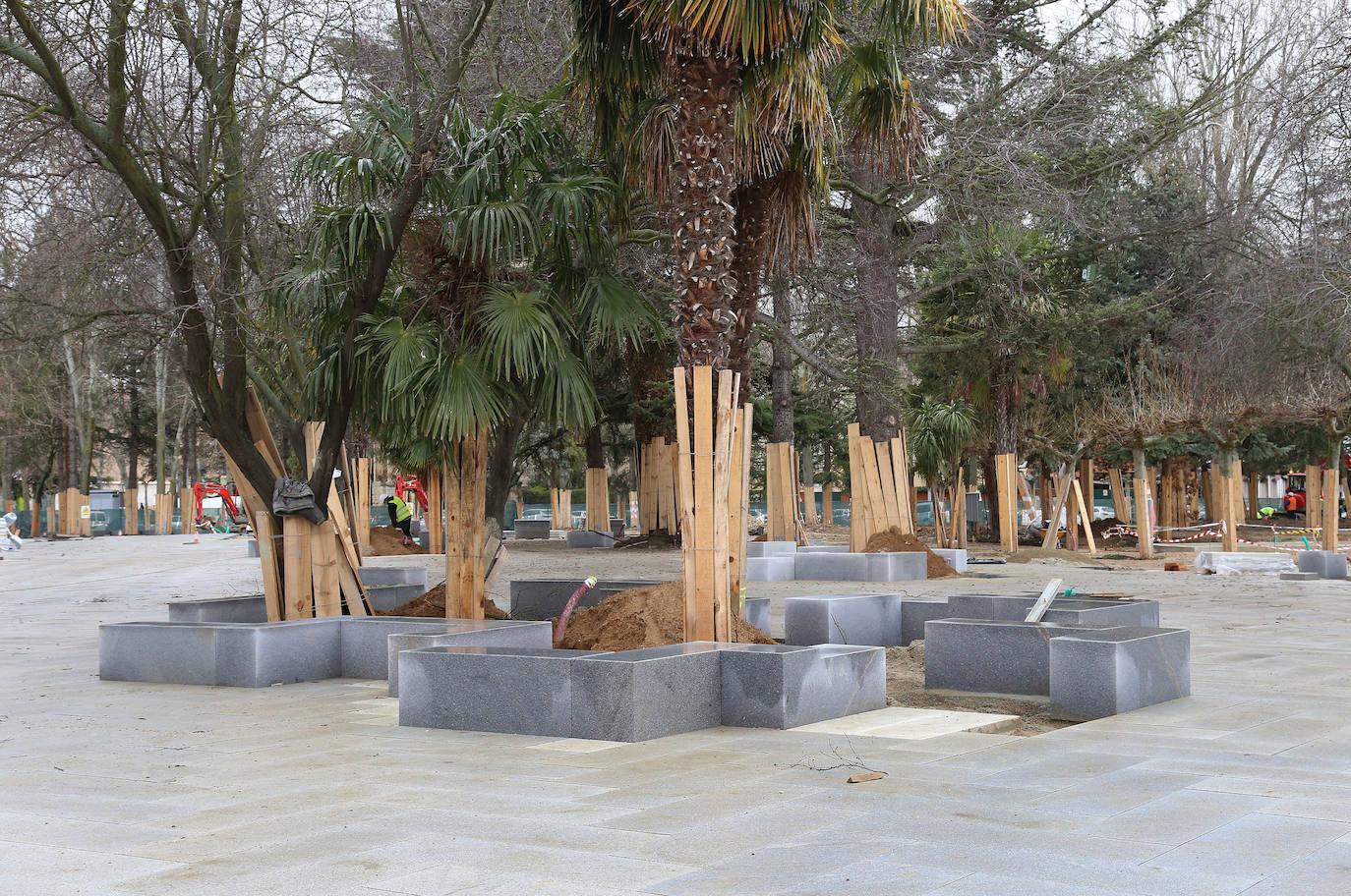 Árboles señalados para la tala, paralizada hasta la resolución judicial, protegidos durante las obras del parque. 