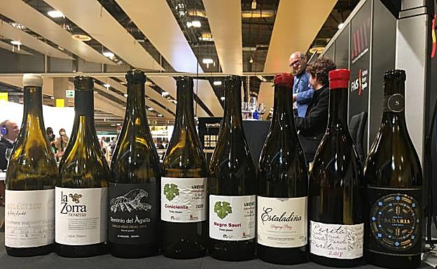 Imagen principal - Arriba, los vinos, y abajo, el desarrollo de la cata de variedades minoritarias organizada por Tierra de Sabor. 