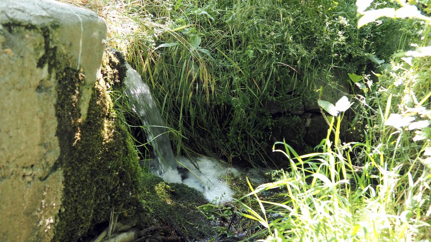 La Overuela, en la época medieval, se llamó Loberueras, que significaba 'lugar o guarida de lobos'