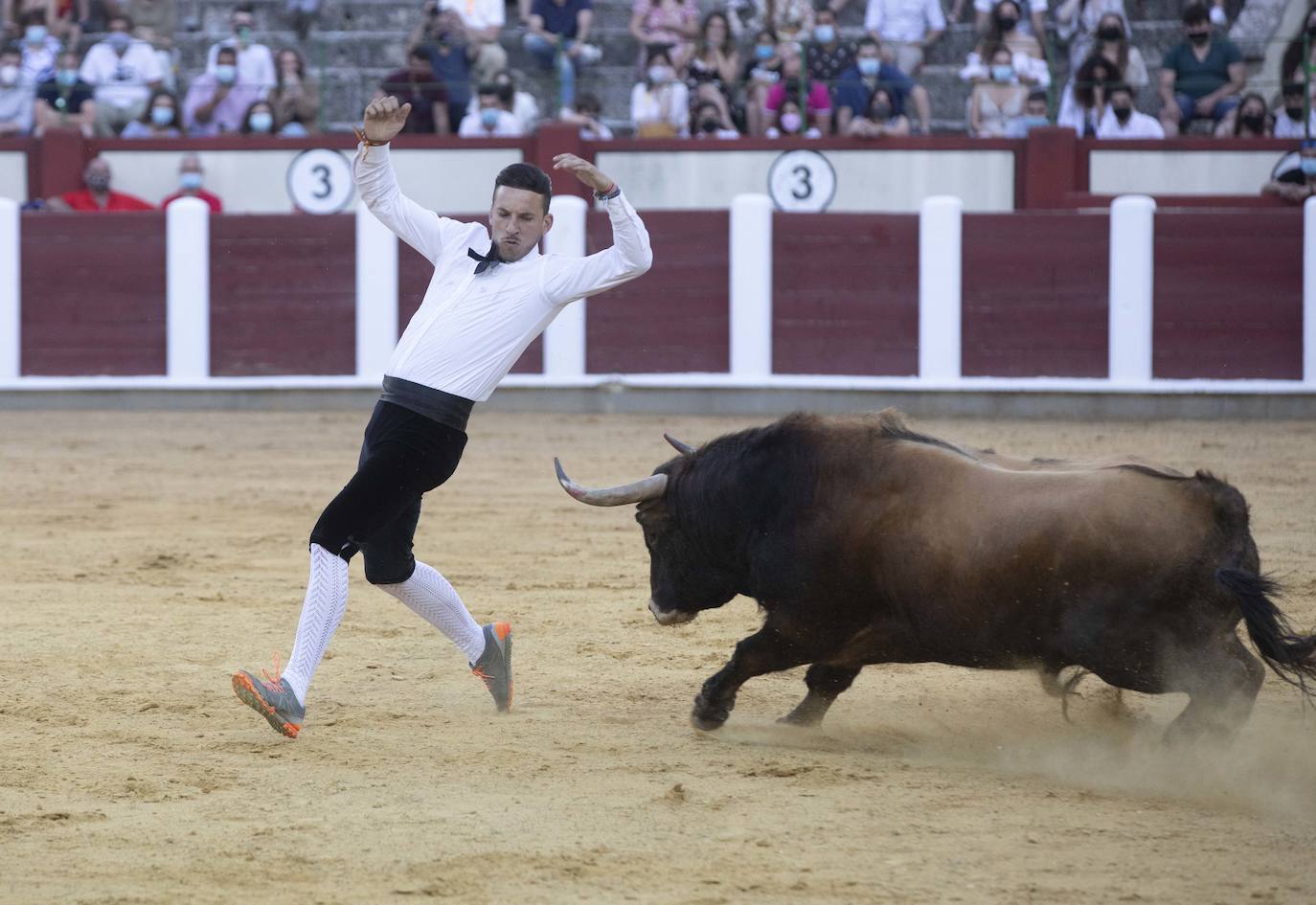 Fotos: Concurso de cortes en la Plaza de Toros de Valladolid