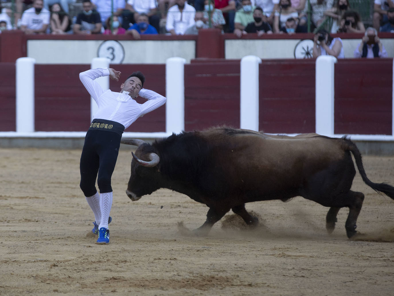 Fotos: Concurso de cortes en la Plaza de Toros de Valladolid